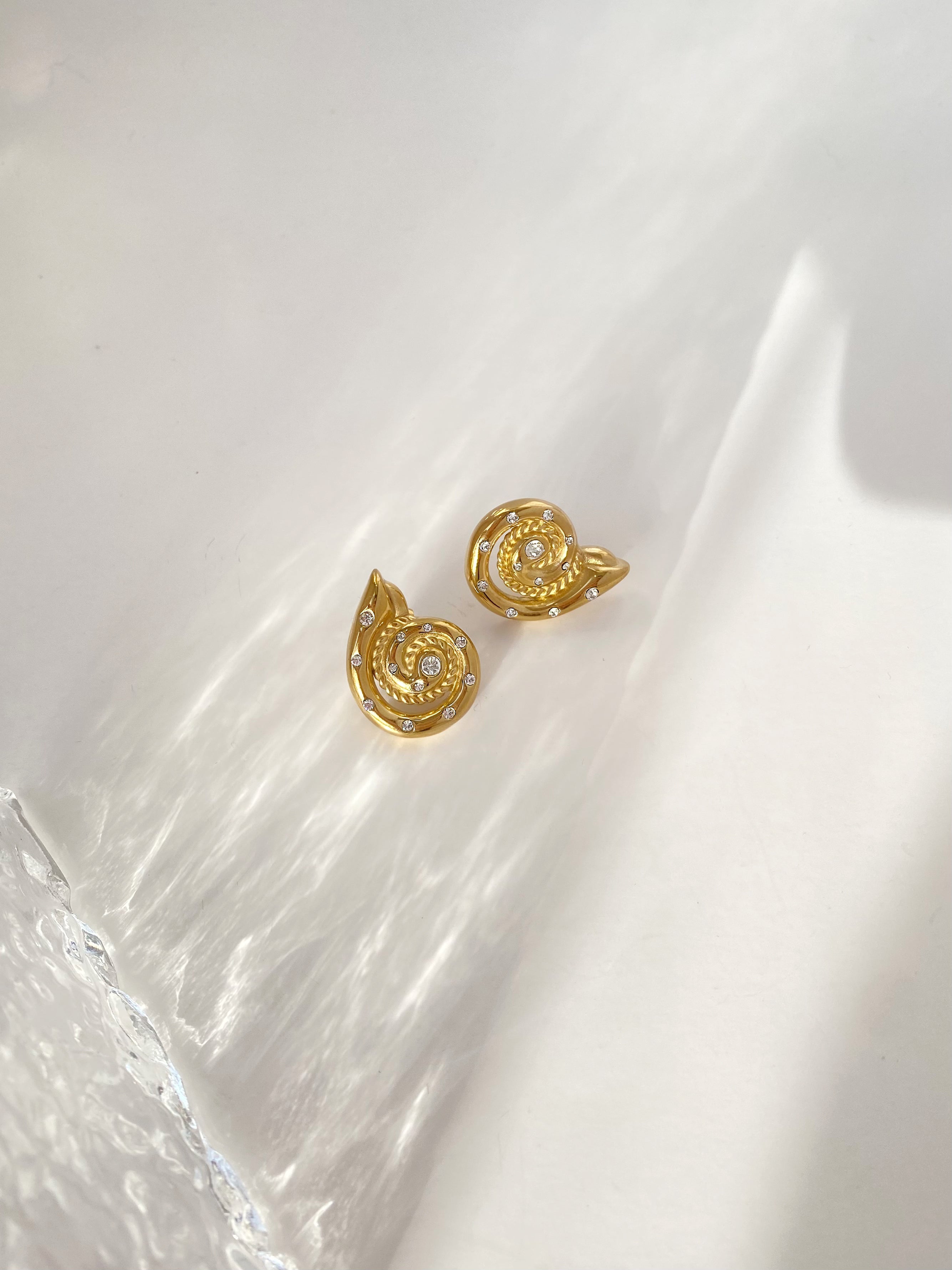 Bold Seashell Stud Earrings