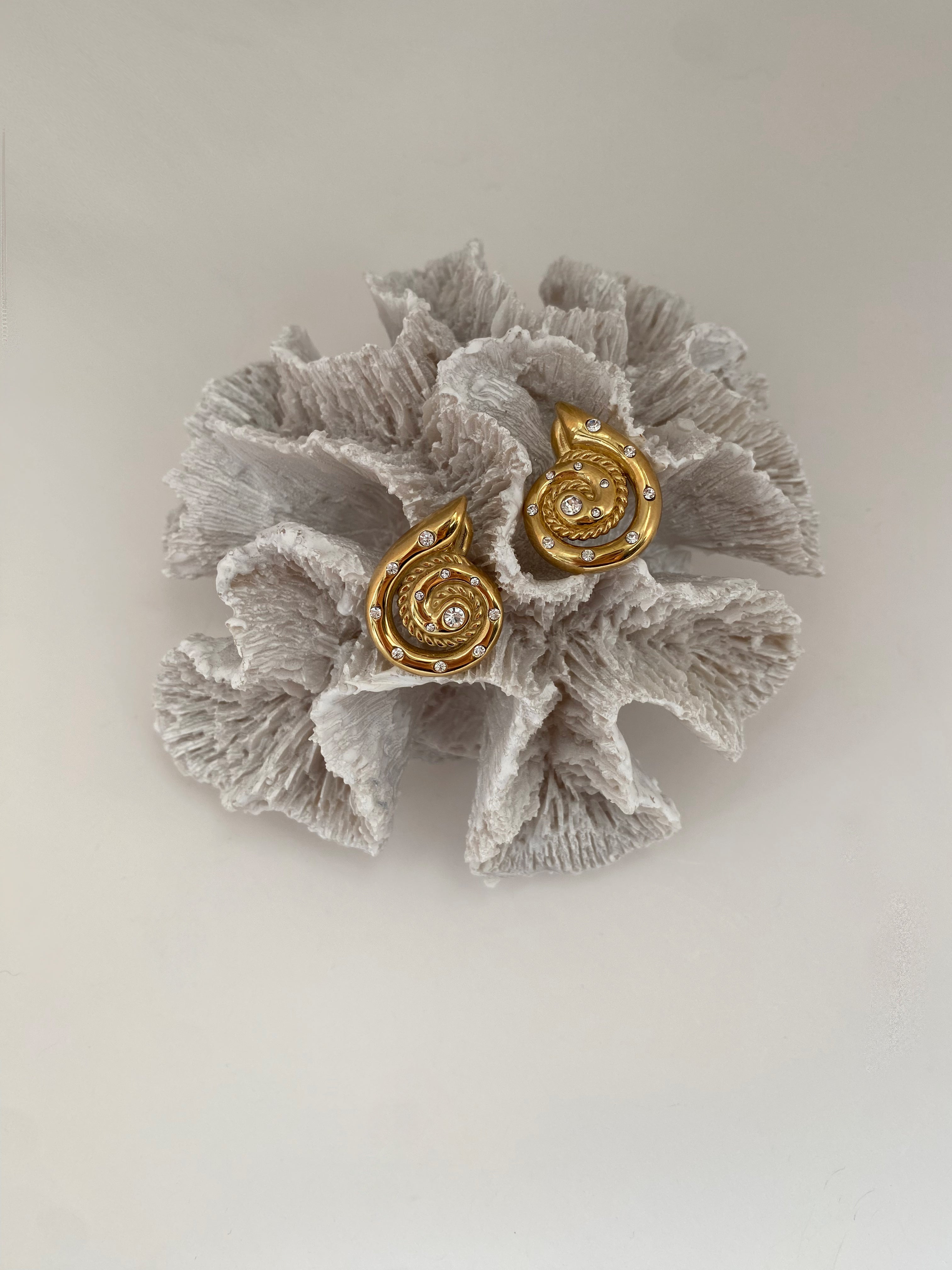 Bold Seashell Stud Earrings