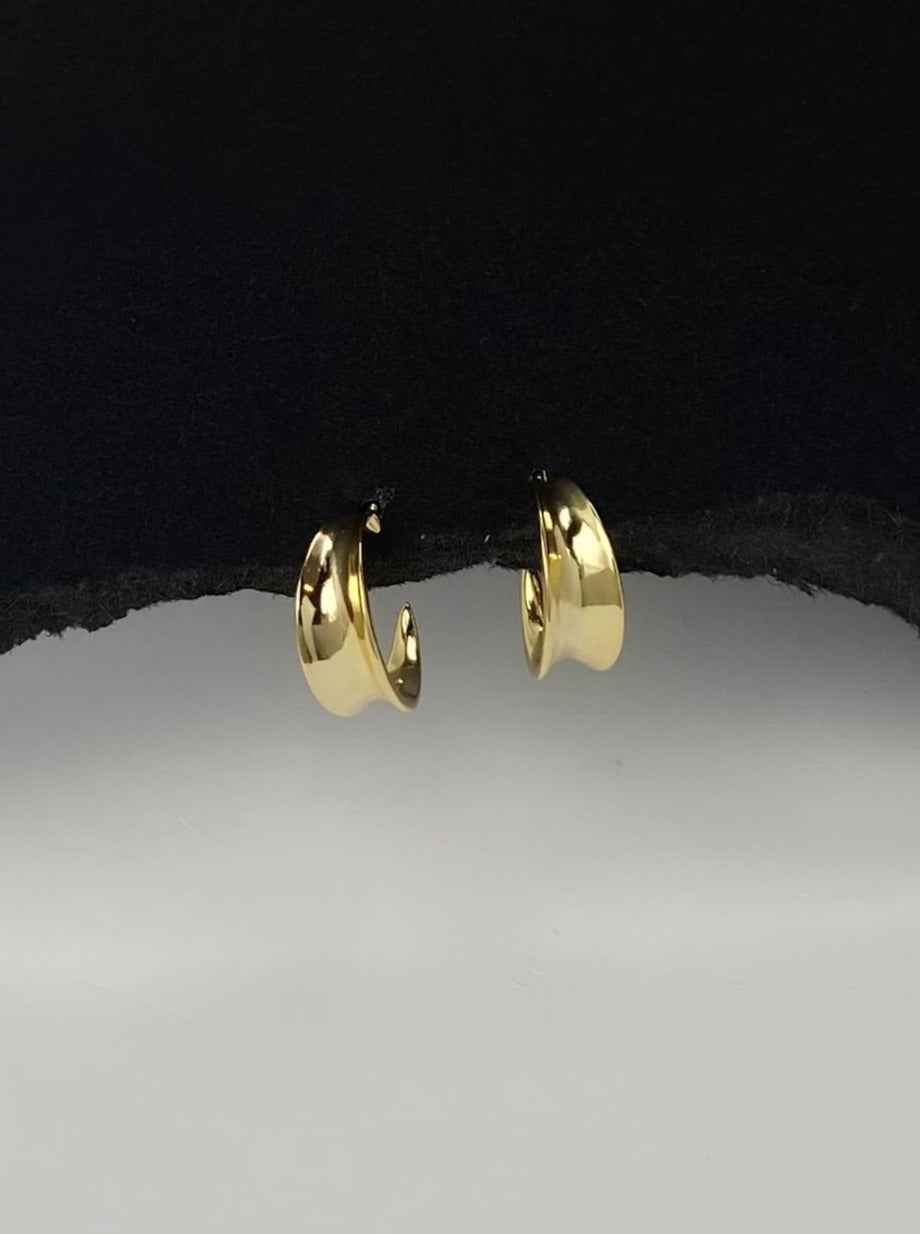 Tiny Gold Hoop Earrings