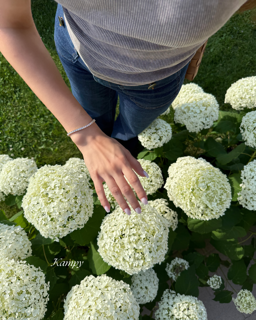 Person touching white spherical flowers with green leaves on a grassy background wearing tennis bracelet 