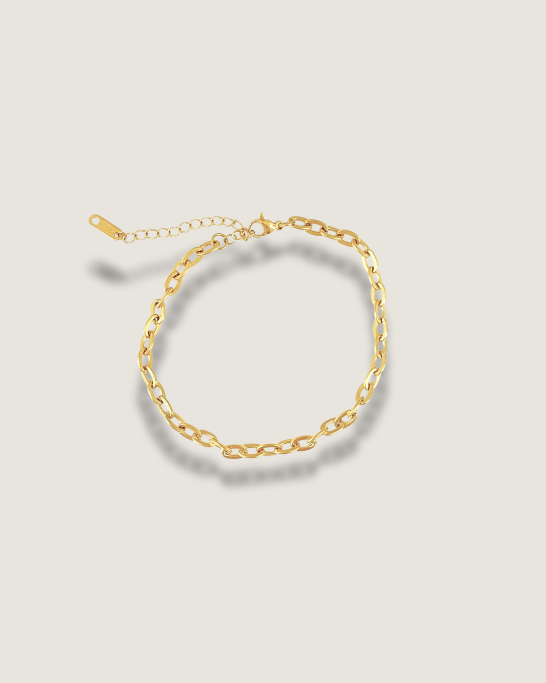Link Chain Anklet