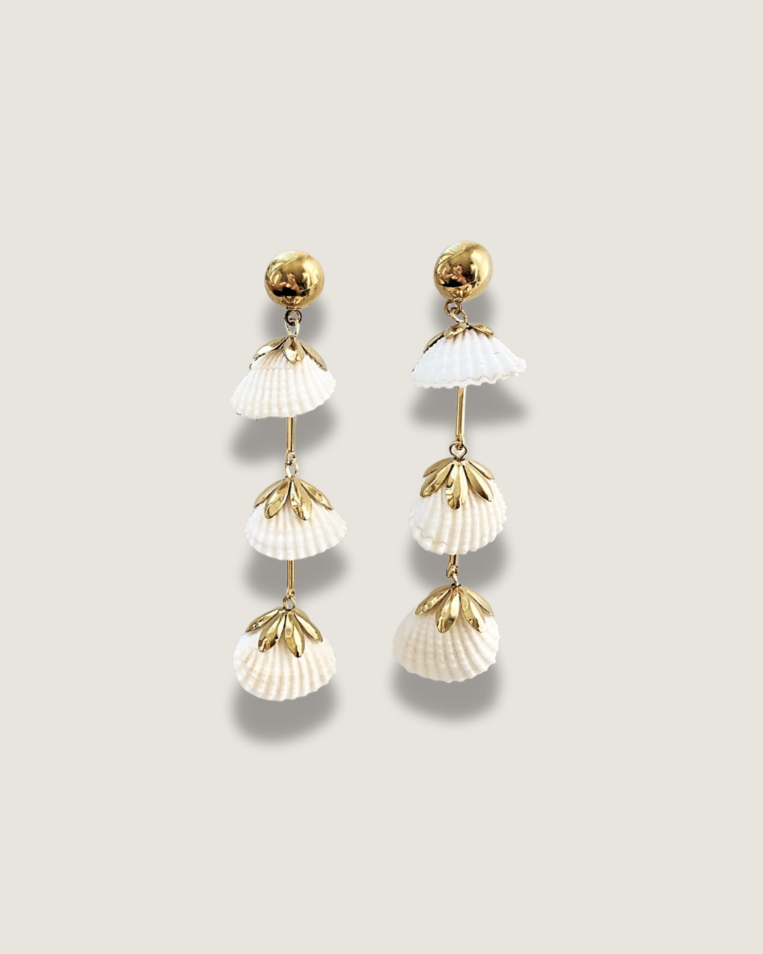 Real Shell Dangle Earrings