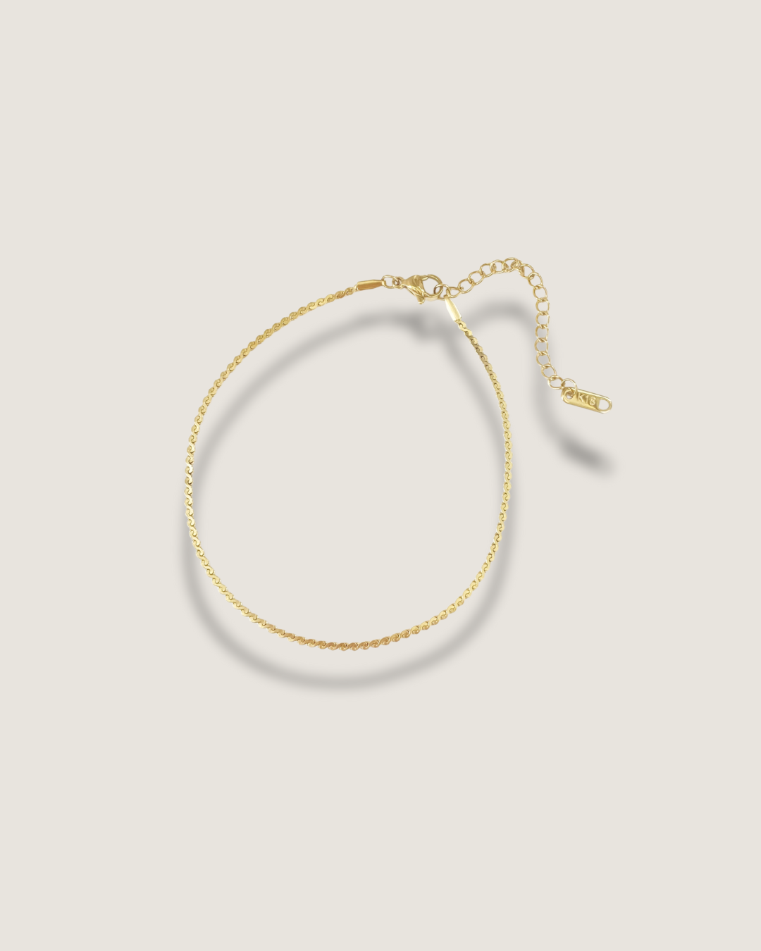 Thin Chain Anklet