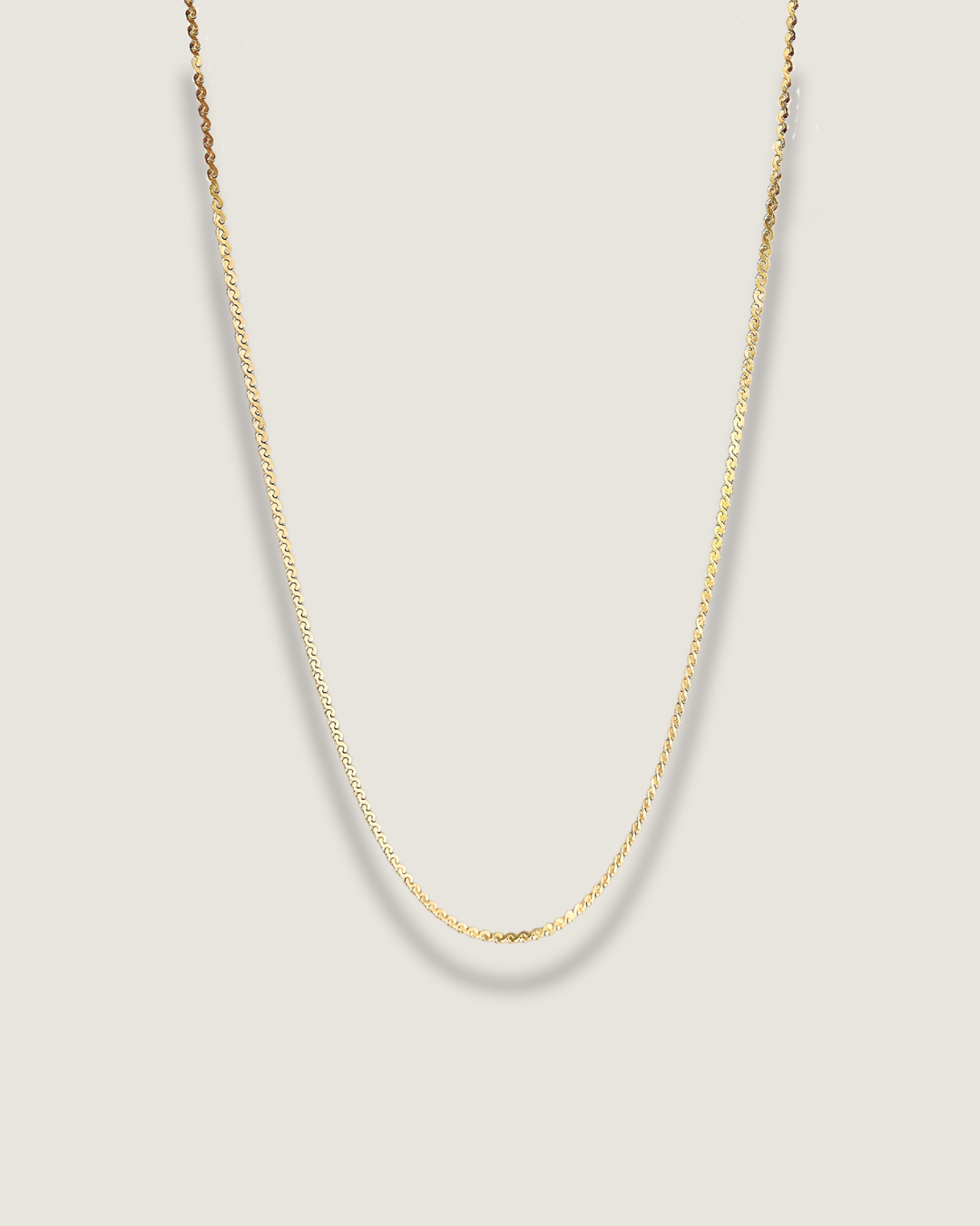 Thin Gold Chain Necklace